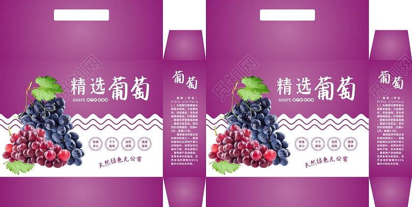 紫色简约风格水果葡萄提子葡萄包装