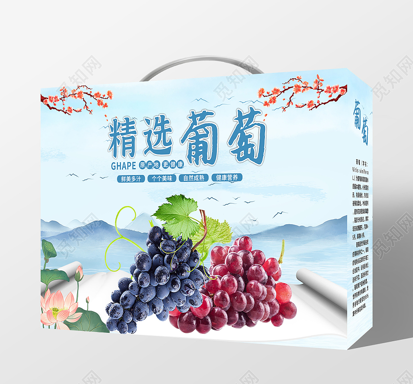 蓝色水墨山水风格精选葡萄葡萄包装