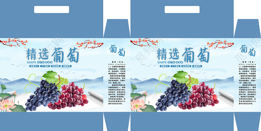 蓝色水墨山水风格精选葡萄葡萄包装