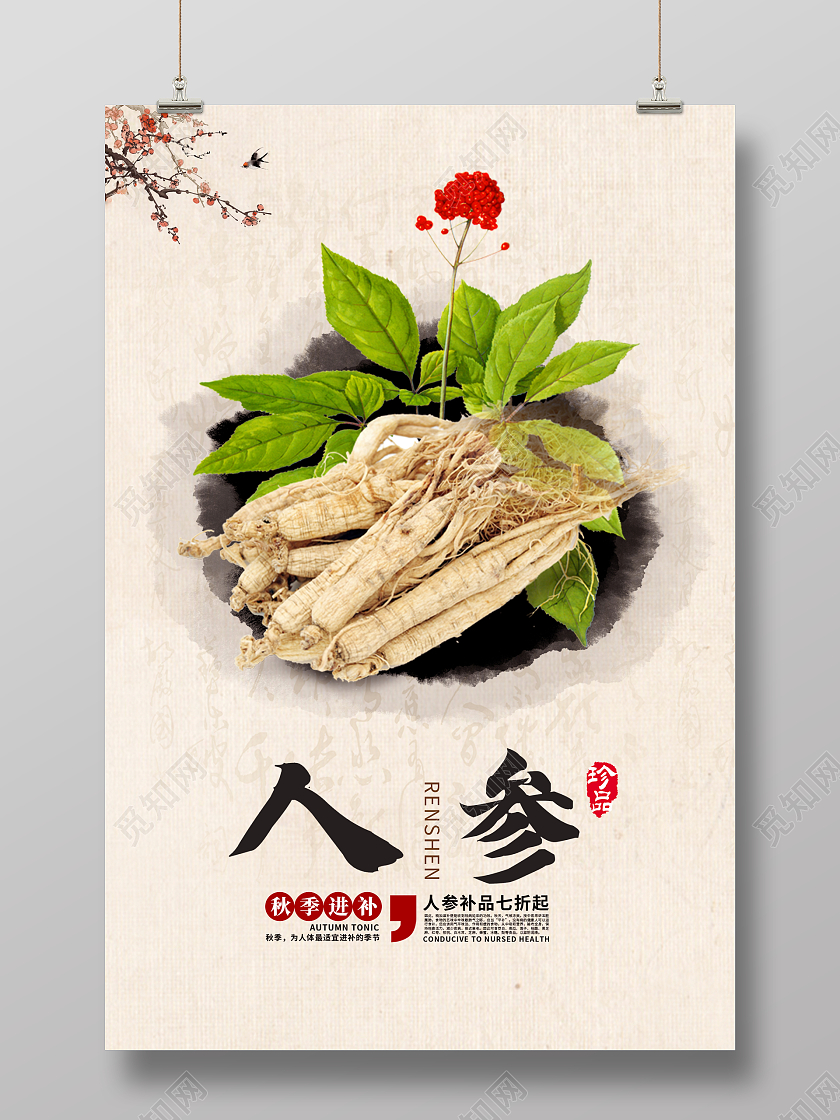 浅色复古风背景人参人参宣传海报