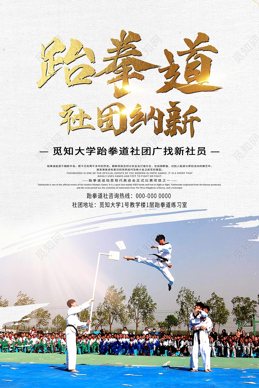 灰色简约跆拳道社团纳新宣传活动海报