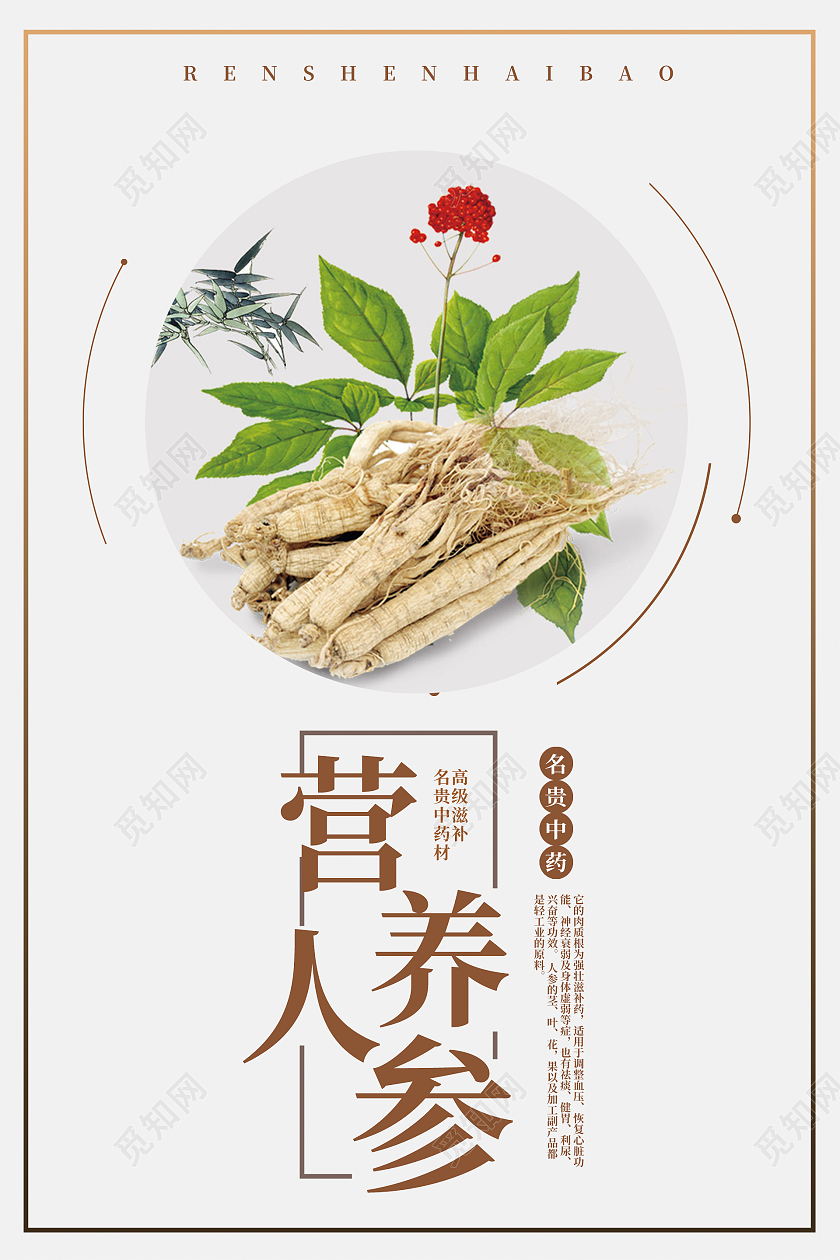 简约大气中药材人参产品宣传套图海报