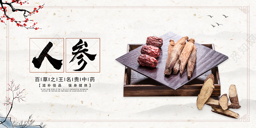 水彩水墨山水中国风人参宣传展板