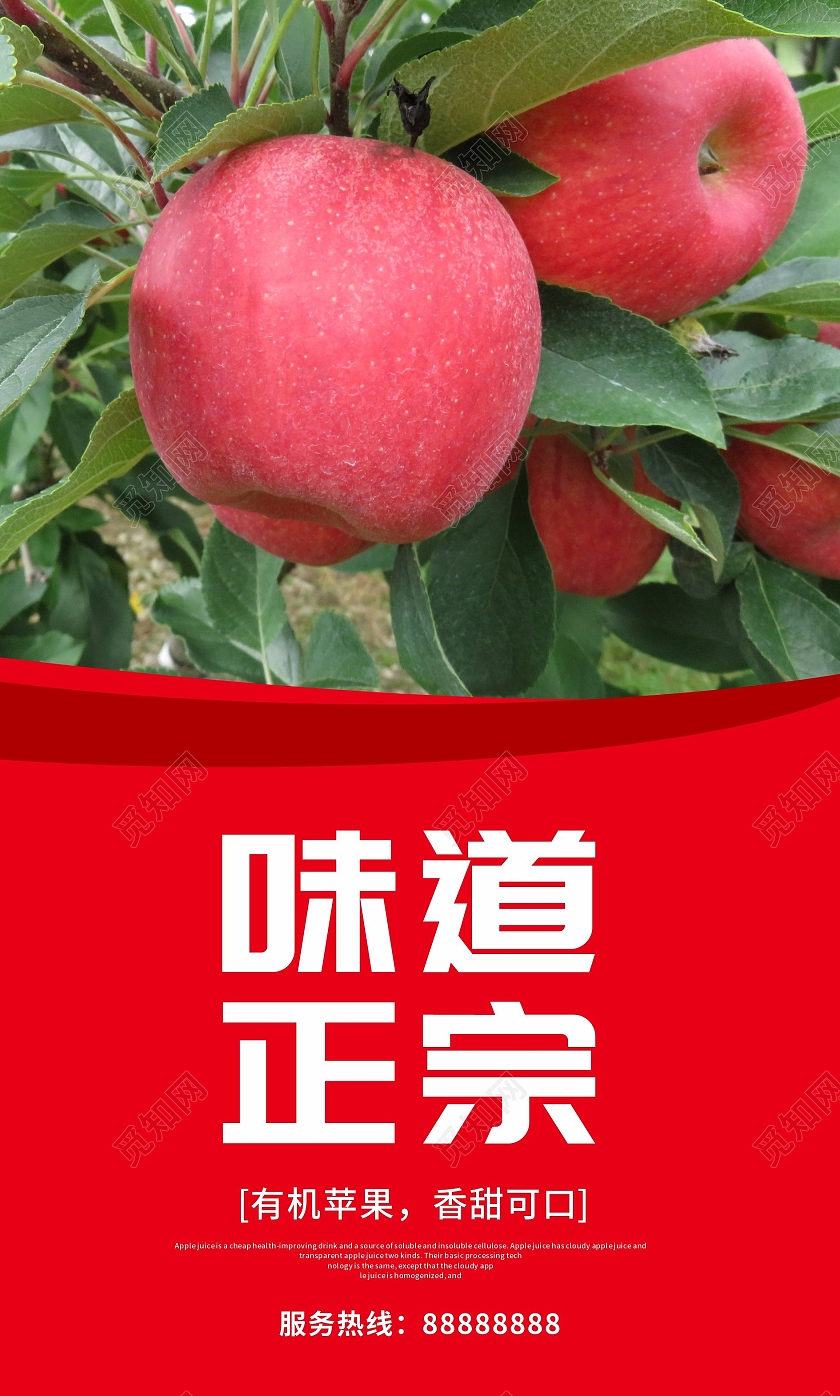 大红简约苹果套图甜爽脆口天天特价