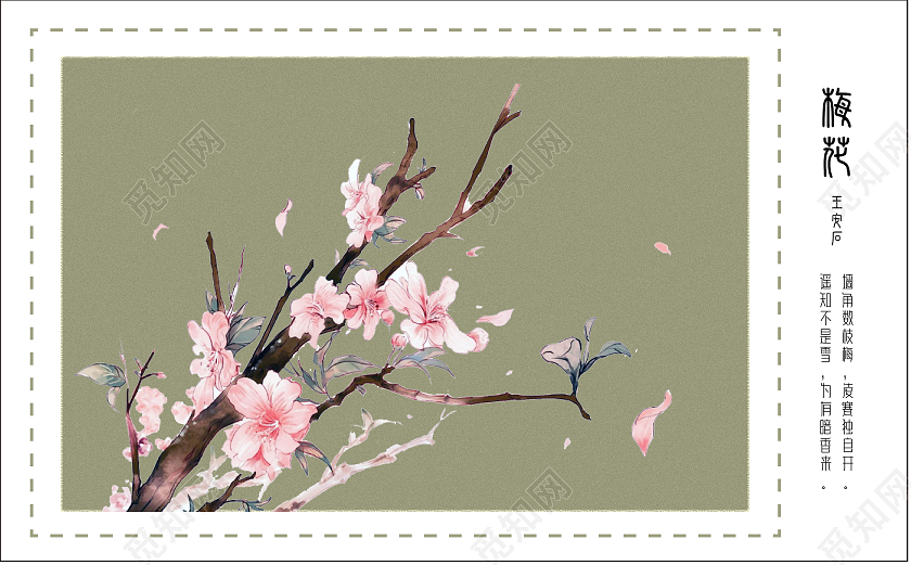 土黄色 梅花 明信片 排版 国风