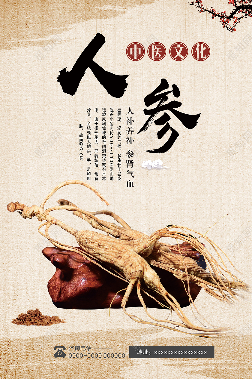 米色简洁大气人参中药宣传海报人参海报人参宣传海报展板