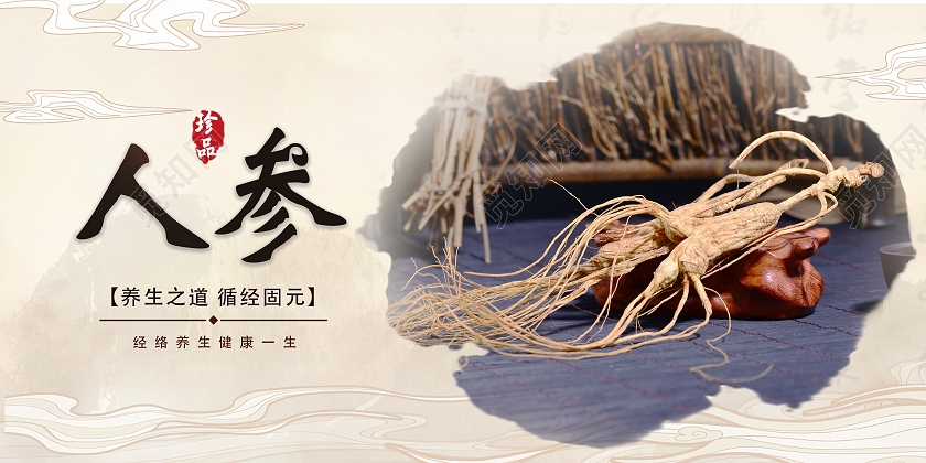 浅黄色古风养生人参促销宣传展板