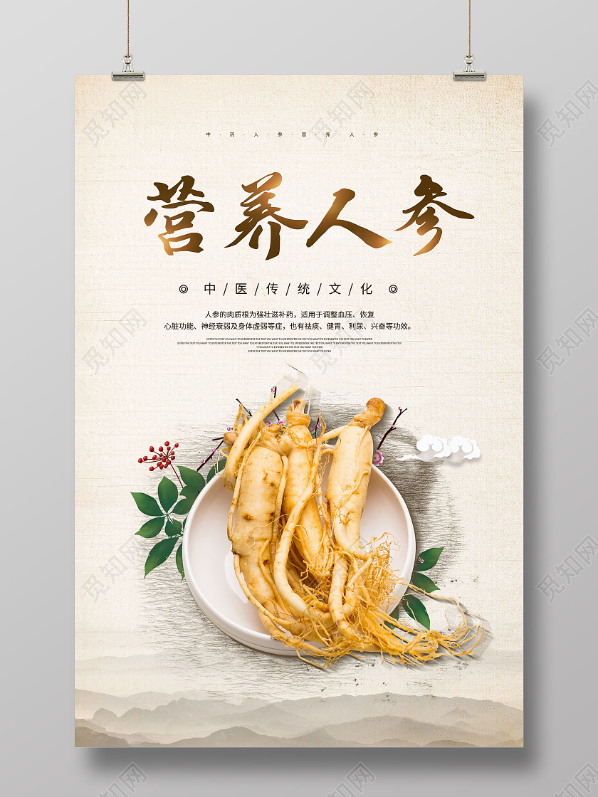 中国风人参营养人参中药人参海报