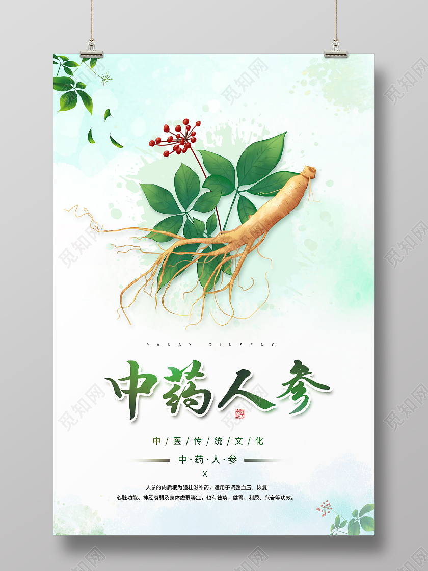 创意人参中医人参美味人参中药人参海报