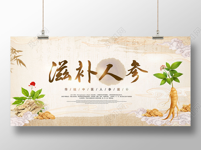 中国风中药人参滋补人参医药宣传展板