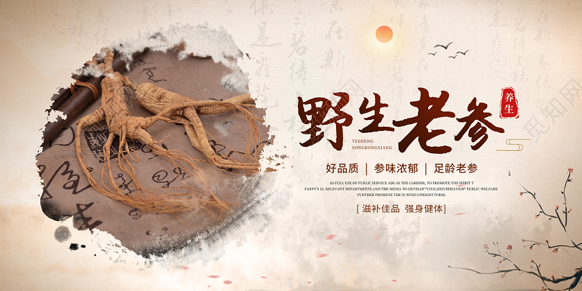 棕色复古水墨风中药人参知识宣传展板