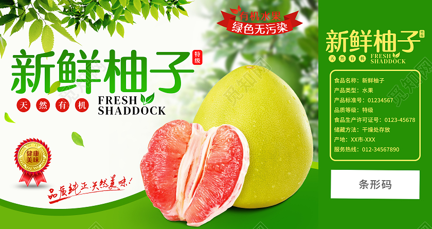 绿色实景新鲜柚子手提盒横版水果包装柚子包装