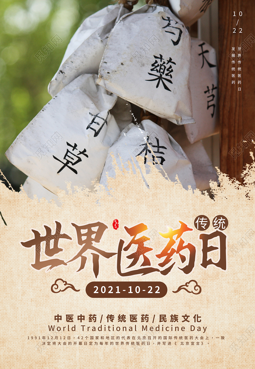中国风古风中药世界医药日海报宣传世界传统医药日