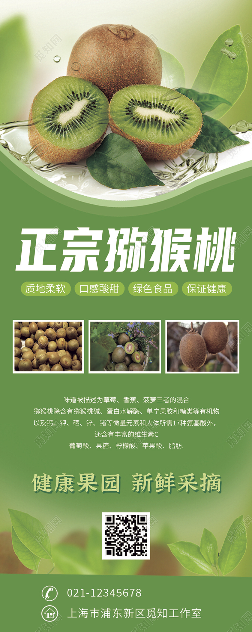 绿色背景猕猴桃手机海报猕猴桃介绍简介文案猕猴桃长图猕猴桃手机长图