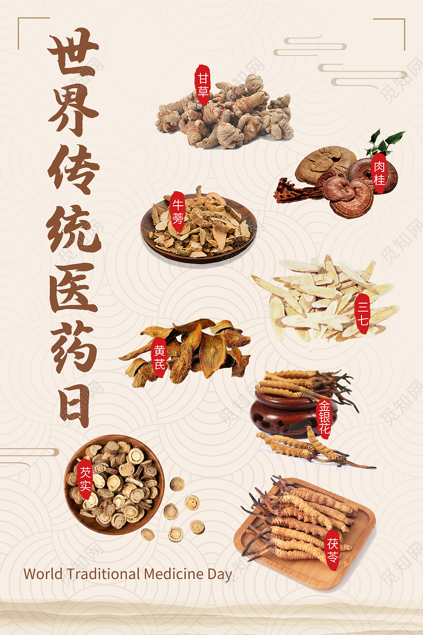 黄色古风医药日药材世界传统医药日海报