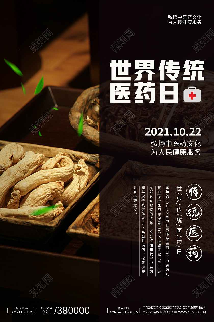 中国风古风中药世界医药日海报宣传世界传统医药日