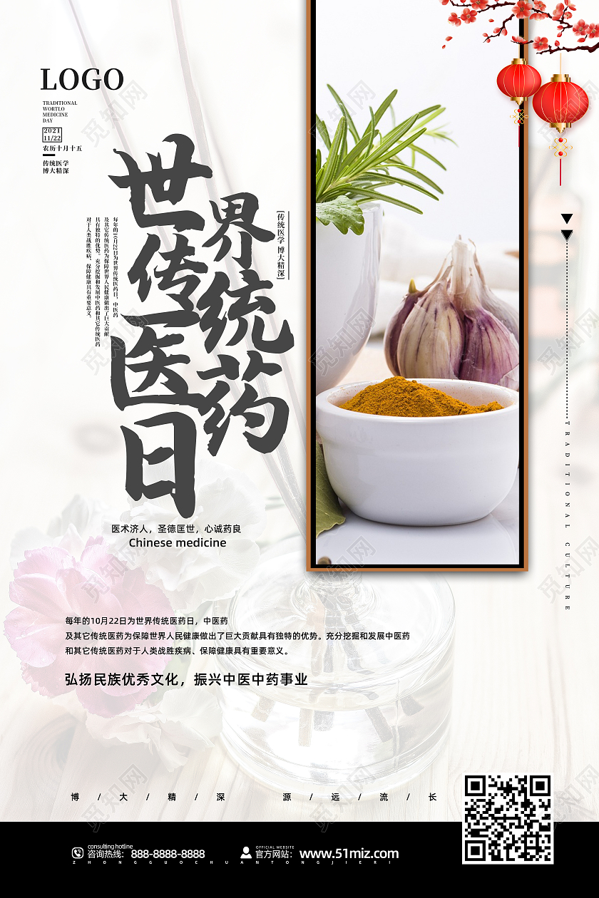 白色简约创意摄影图世界传统医药日海报