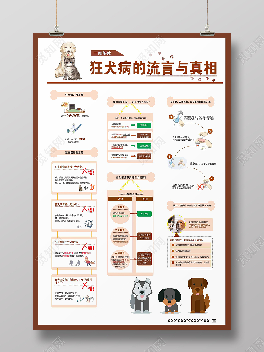 海报狗狗狂犬病流方与真相狂犬病海报