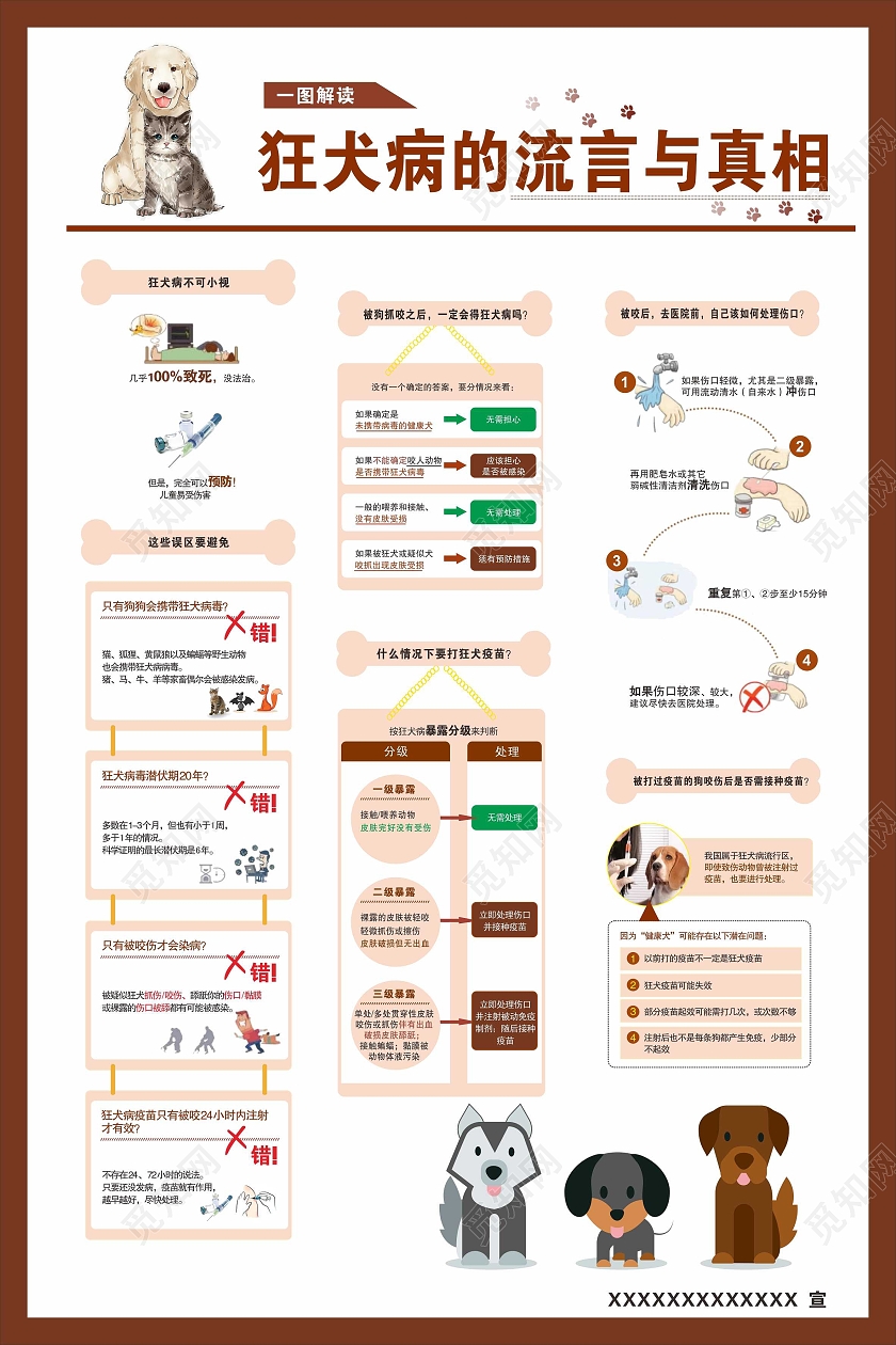 海报狗狗狂犬病流方与真相狂犬病海报