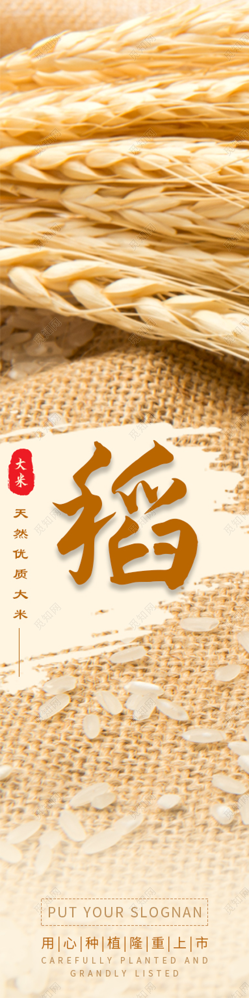 金黄色简约风格水墨笔触有机大米稻米鲜香挂画大米套图