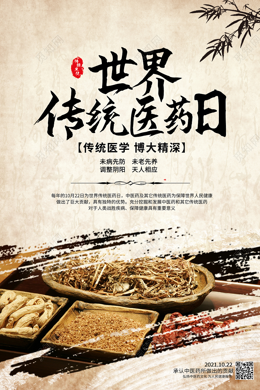 中国风古风中药世界医药日海报宣传世界传统医药世界传统医药日