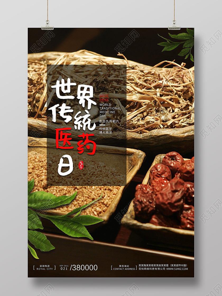 摄像简约 中药 医药日 海报 宣传 世界传统医药日