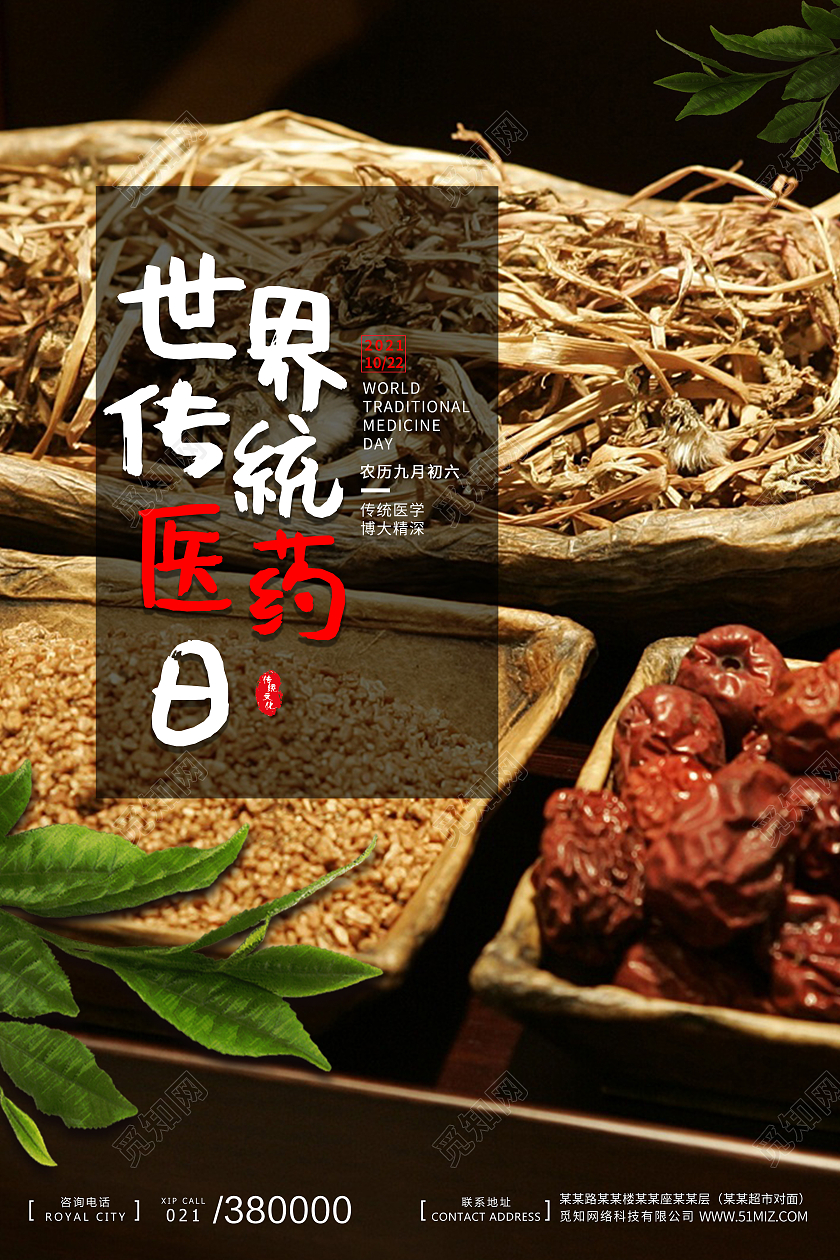 摄像简约 中药 医药日 海报 宣传 世界传统医药日