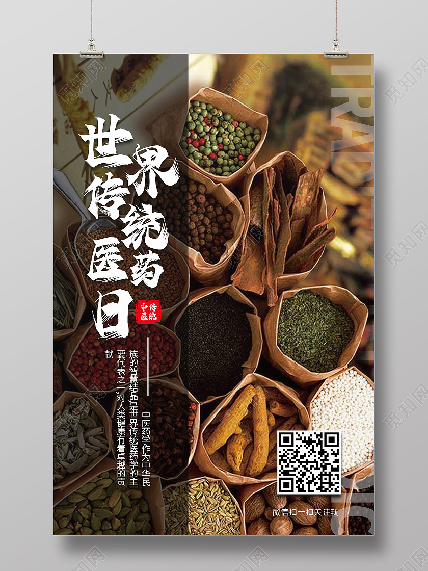 摄像简约 中药 医药日 海报 宣传 世界传统医药日