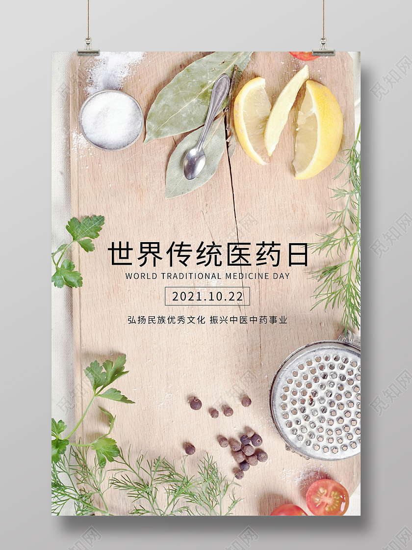 摄像简约 中药 医药日 海报 宣传 世界传统医药日