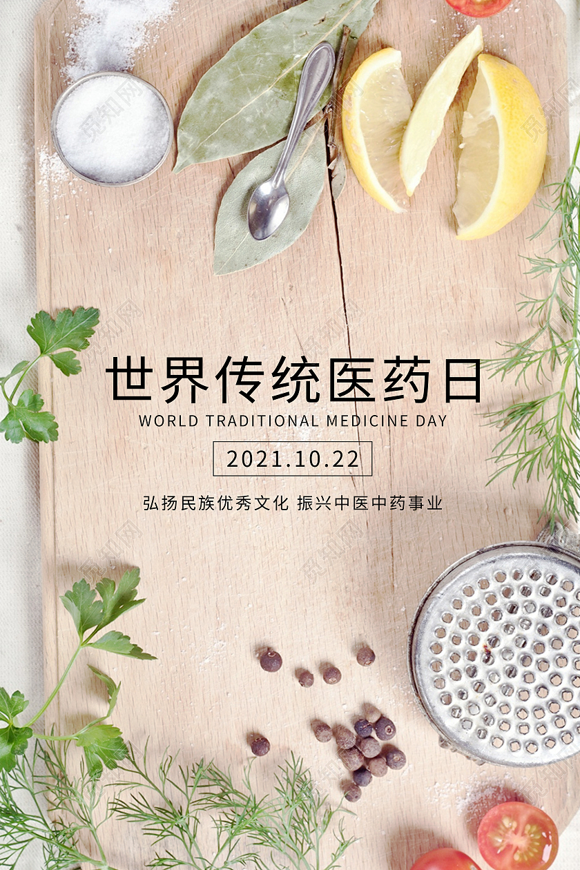 摄像简约 中药 医药日 海报 宣传 世界传统医药日