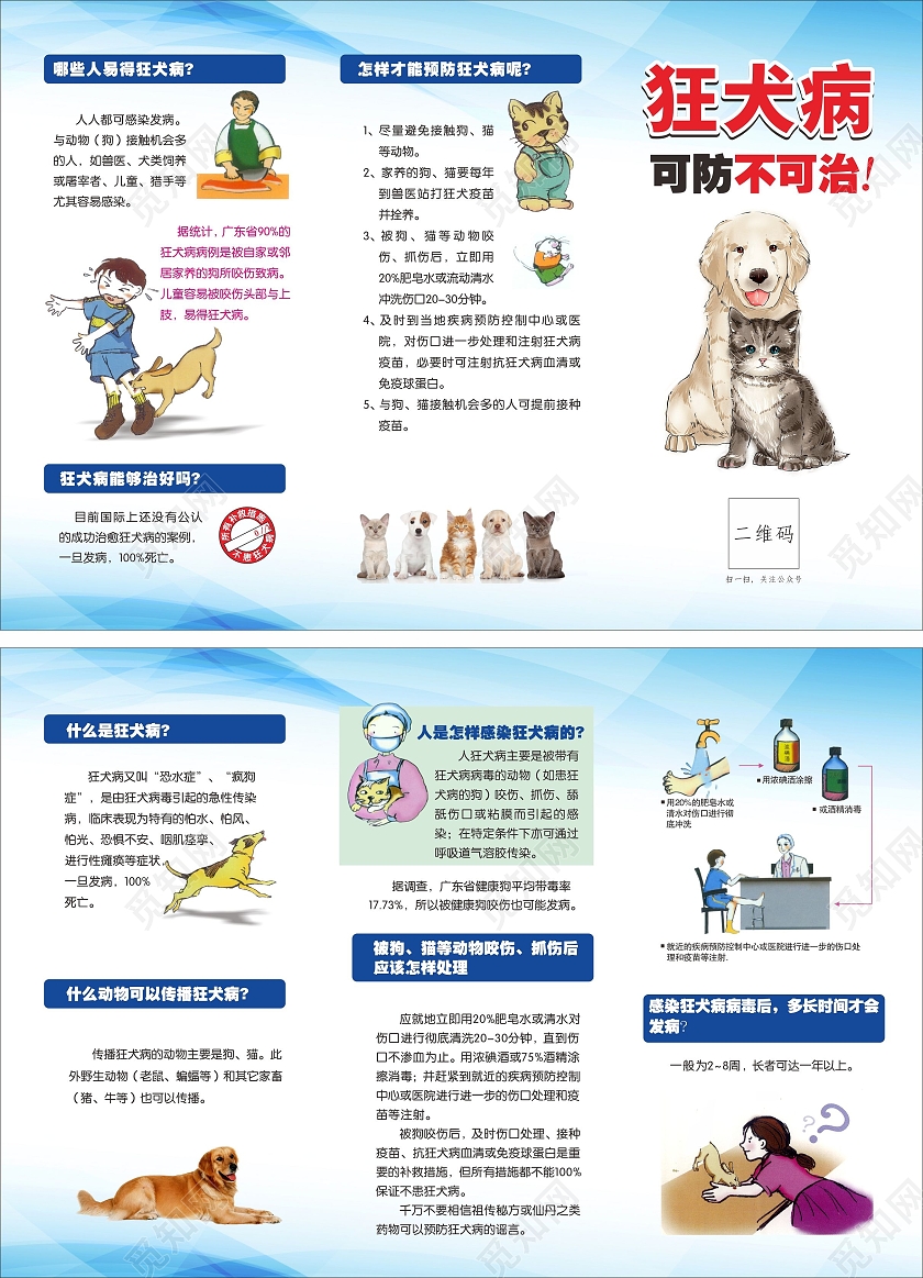 折页三折页狂犬病宣传折页蓝色狂犬病宣传单狂犬病三折页