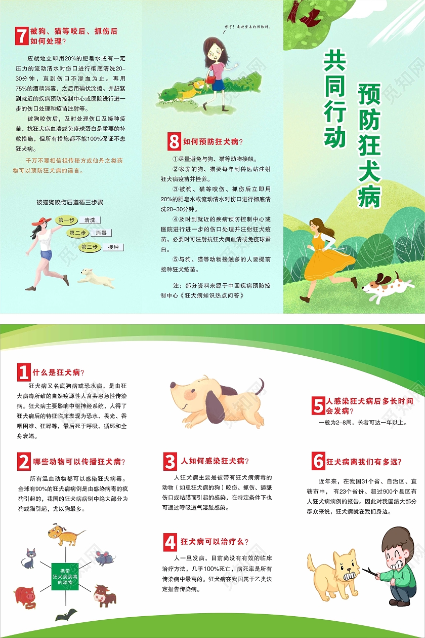 折页三折页狂犬病宣传折页绿色狂犬病宣传单狂犬病三折页