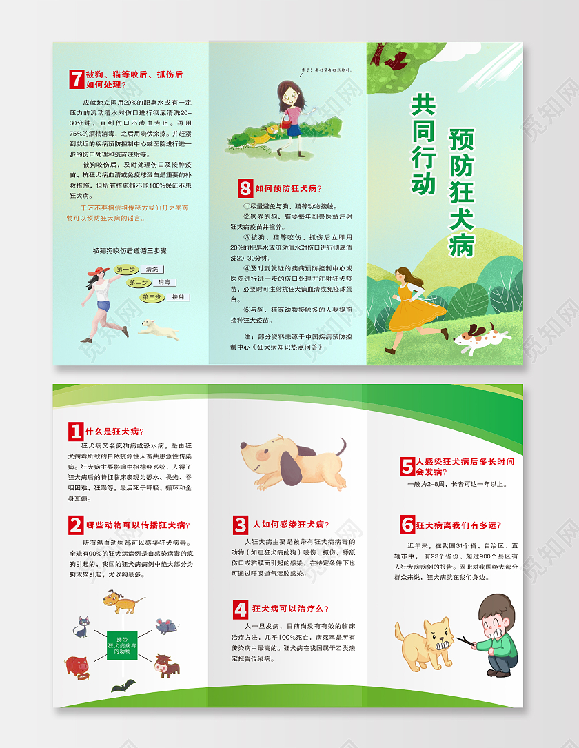 折页三折页狂犬病宣传折页绿色狂犬病宣传单狂犬病三折页