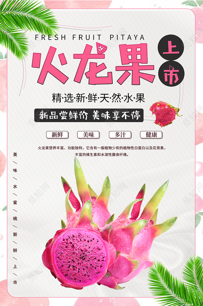粉色简约风火龙果新品尝鲜价 美味享不停海报新鲜火龙果水果海报