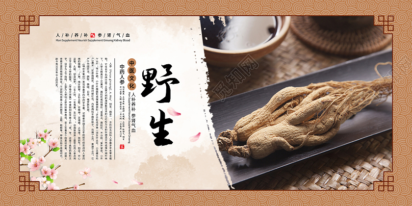 棕色大气简约人参营养人参中药人参套图