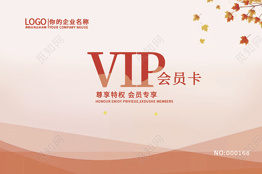 清新简约贵宾卡会员卡设计会员卡模板VIP卡会员卡背景质感会员卡