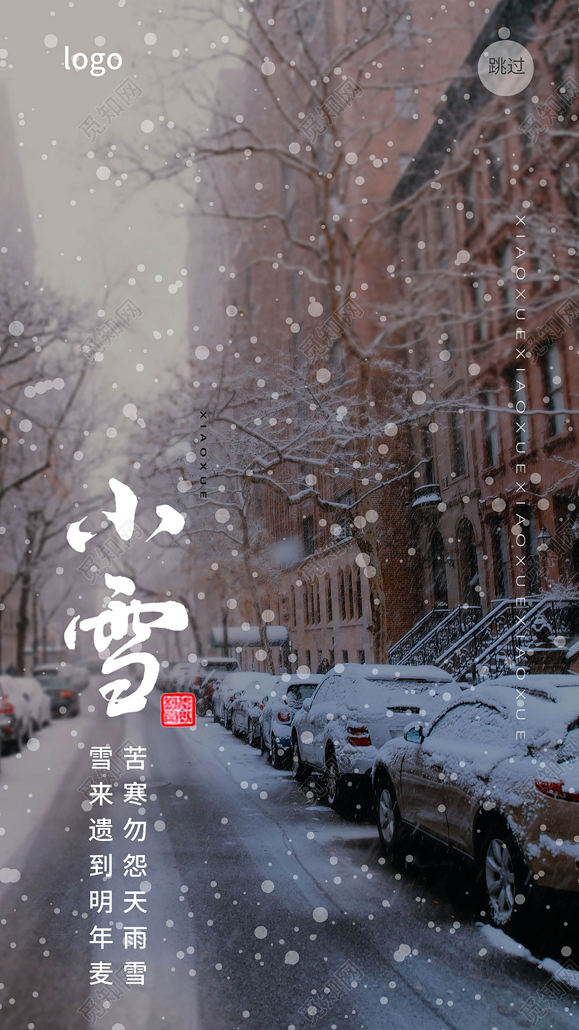 灰黑色简洁摄影风格小雪二十四节气手机海报设计小雪手机海报
