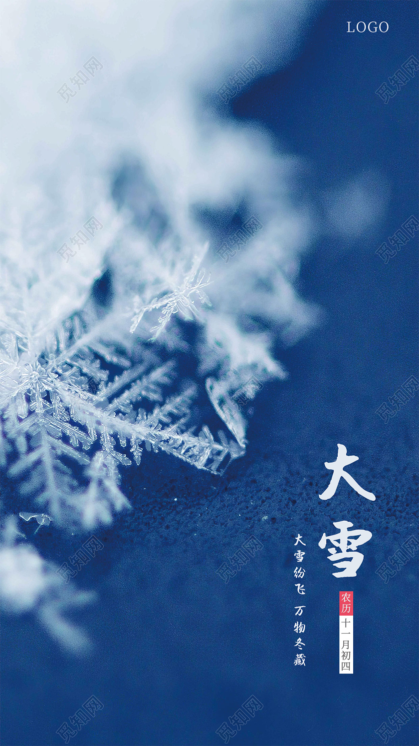蓝色大雪手机海报雪花海报大雪节气节气海报