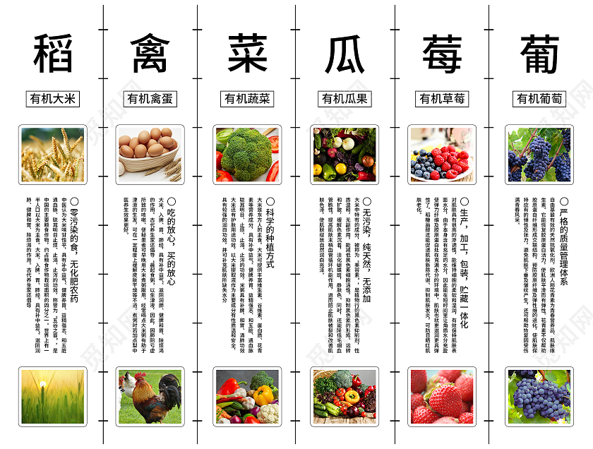 绿色大气名花有机农业宣传三折页农业三折页