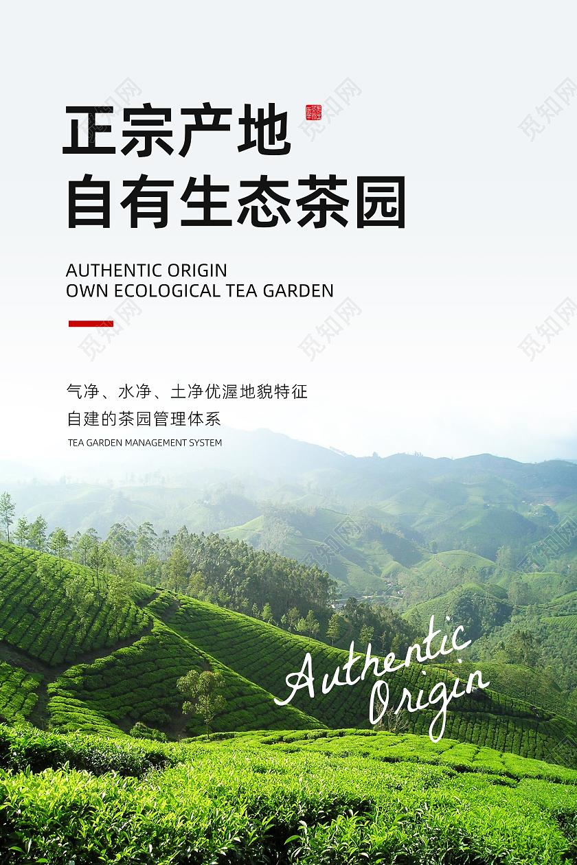 绿色风景茶叶正宗产地生态茶园海报正宗产地 自有生态茶园正宗产地 自有生态茶园摄影图海报