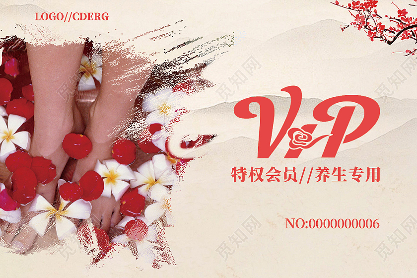 中国风足浴按摩养生会员VIP养生贵宾卡养生会员卡