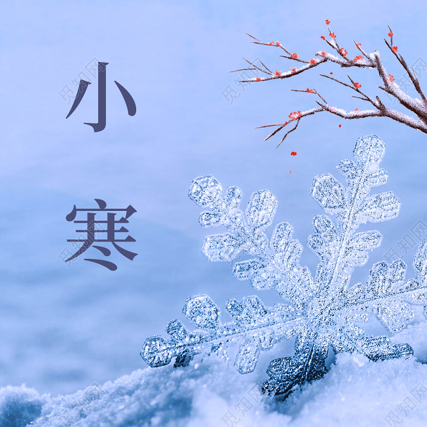 蓝色简约二十四节气小寒微信公众号次图
