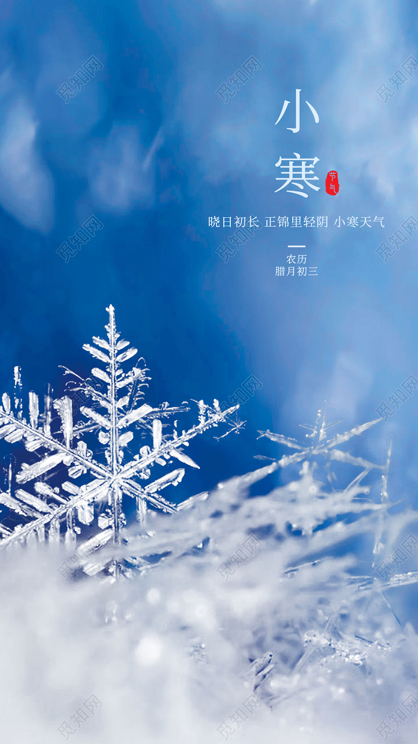 蓝色背景小寒海报雪花元素海报小寒节气海报