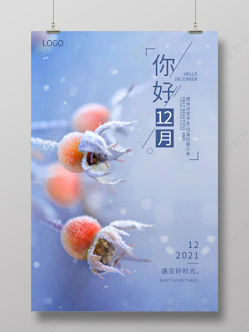 雪枝简约大气清新简约十二月你好海报设计