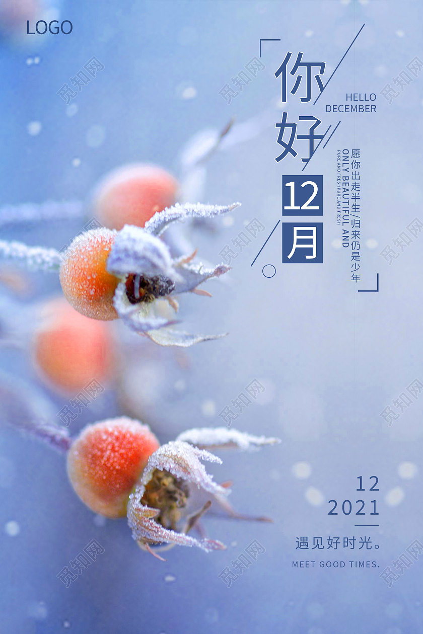 雪枝简约大气清新简约十二月你好海报设计