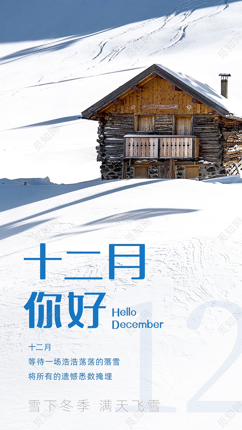 冷色实景蔚美十二月白雪手机海报十二月你好