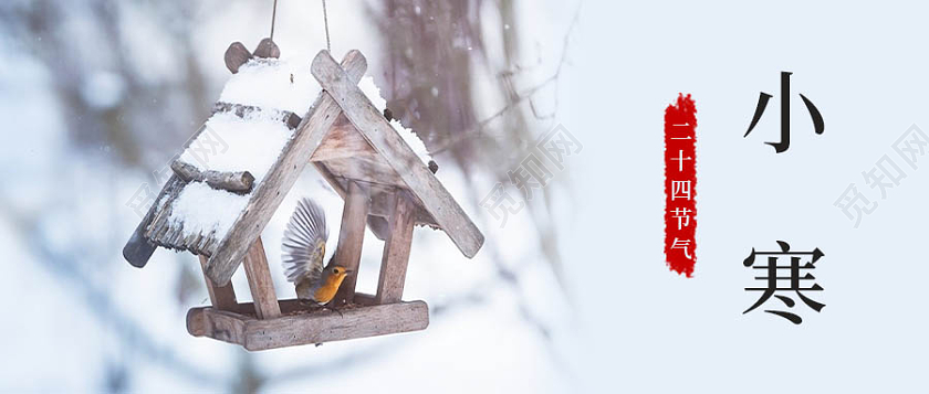 实景简约背景小寒微信公众号首图