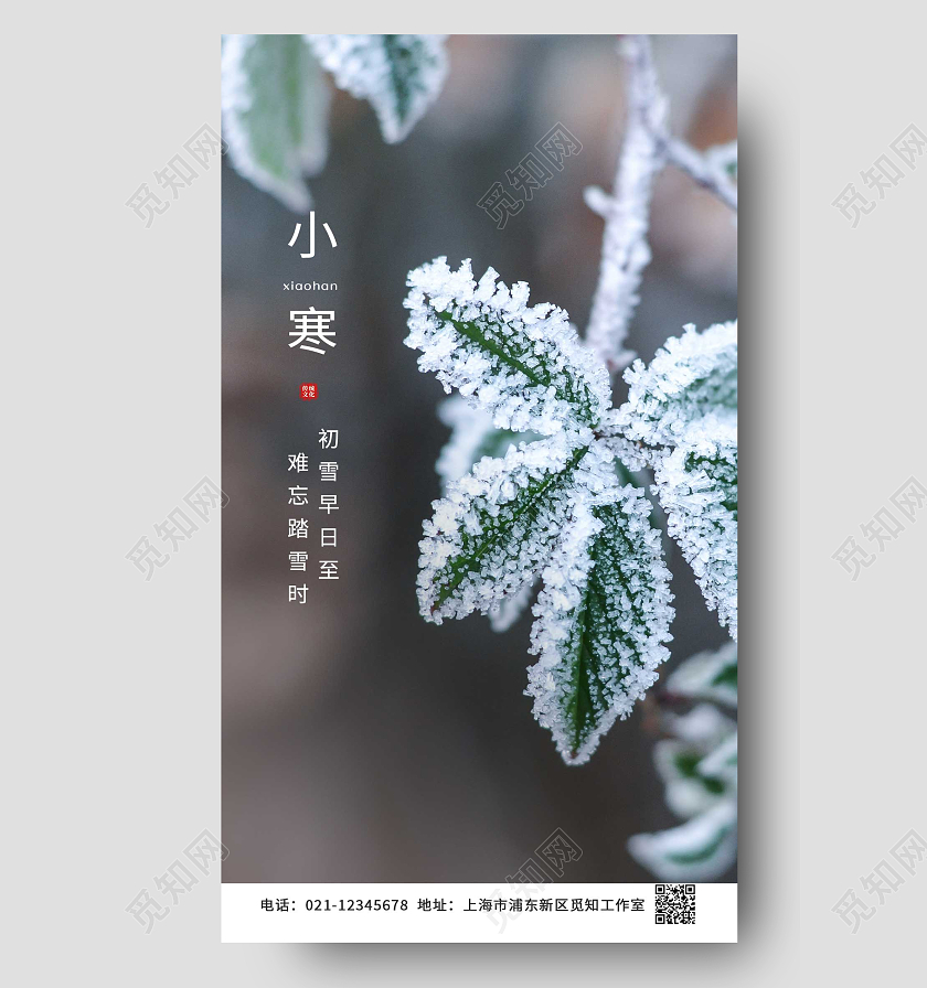 绿色白色冰花 寒冬叶子冰雪科冬季魔术森林小寒ui海报