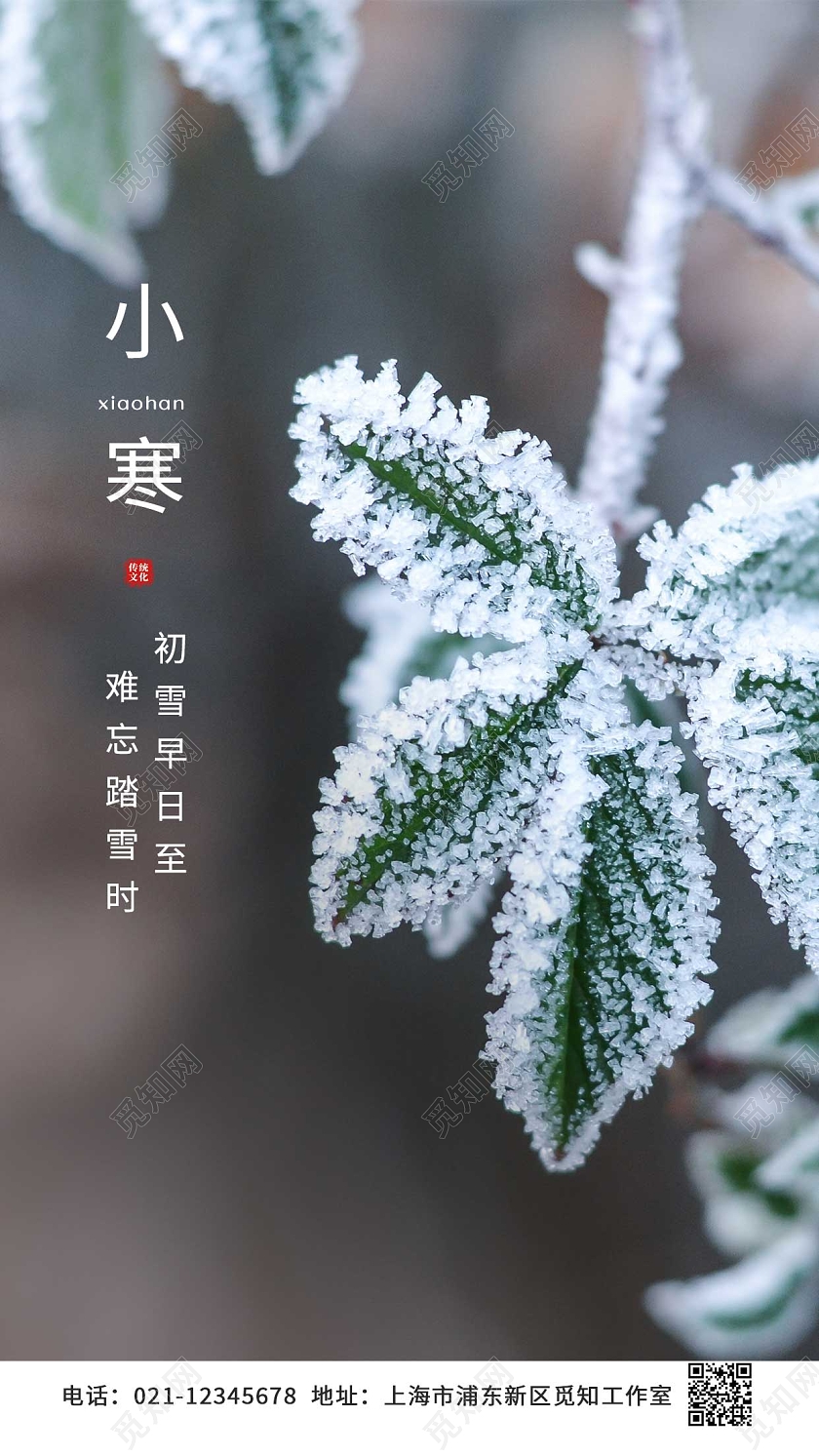 绿色白色冰花 寒冬叶子冰雪科冬季魔术森林小寒ui海报