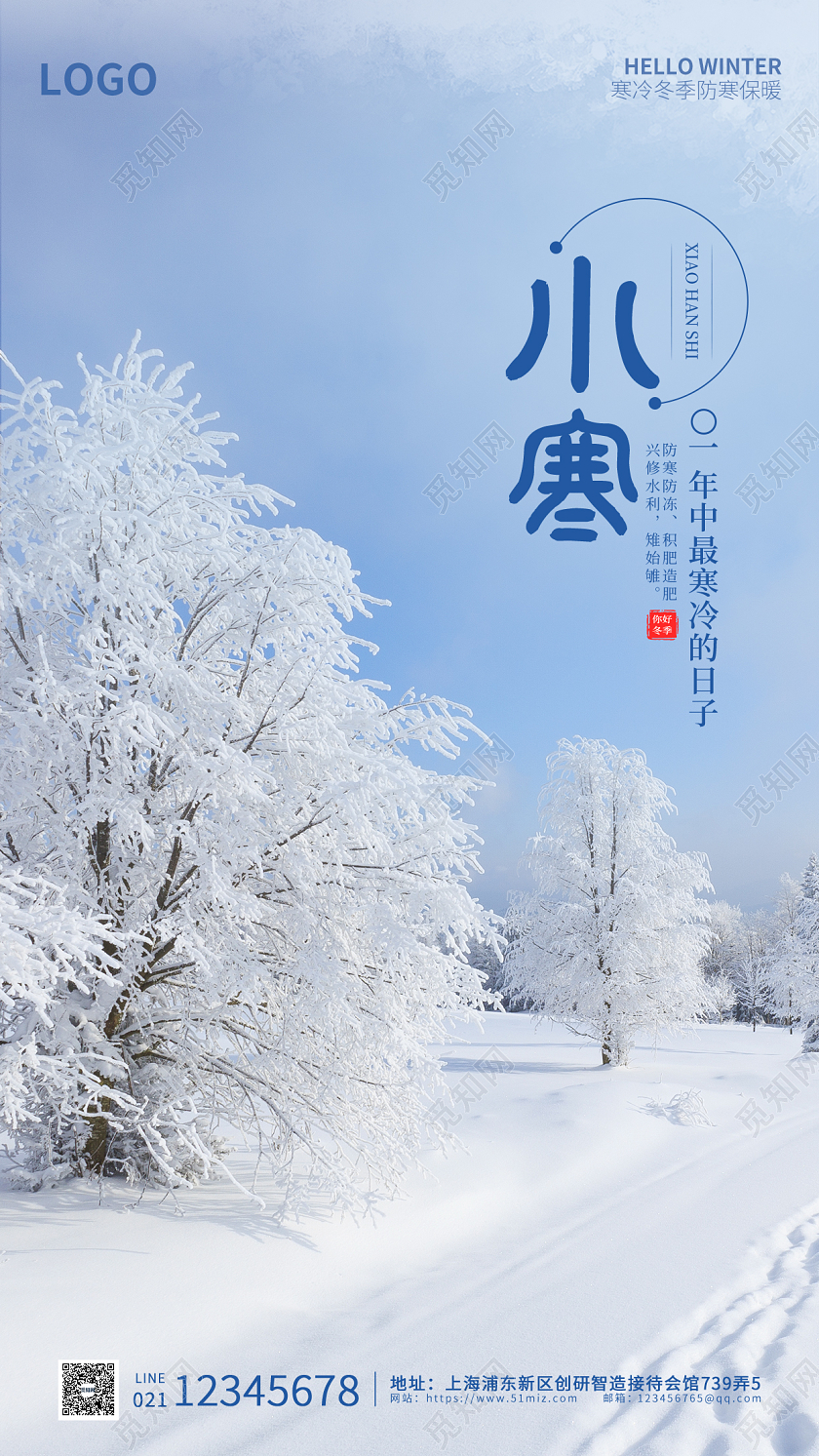 蓝色简约实拍大气简洁小寒时节手机海报